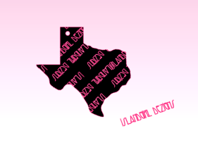 Acrylic Blank - Texas State 3